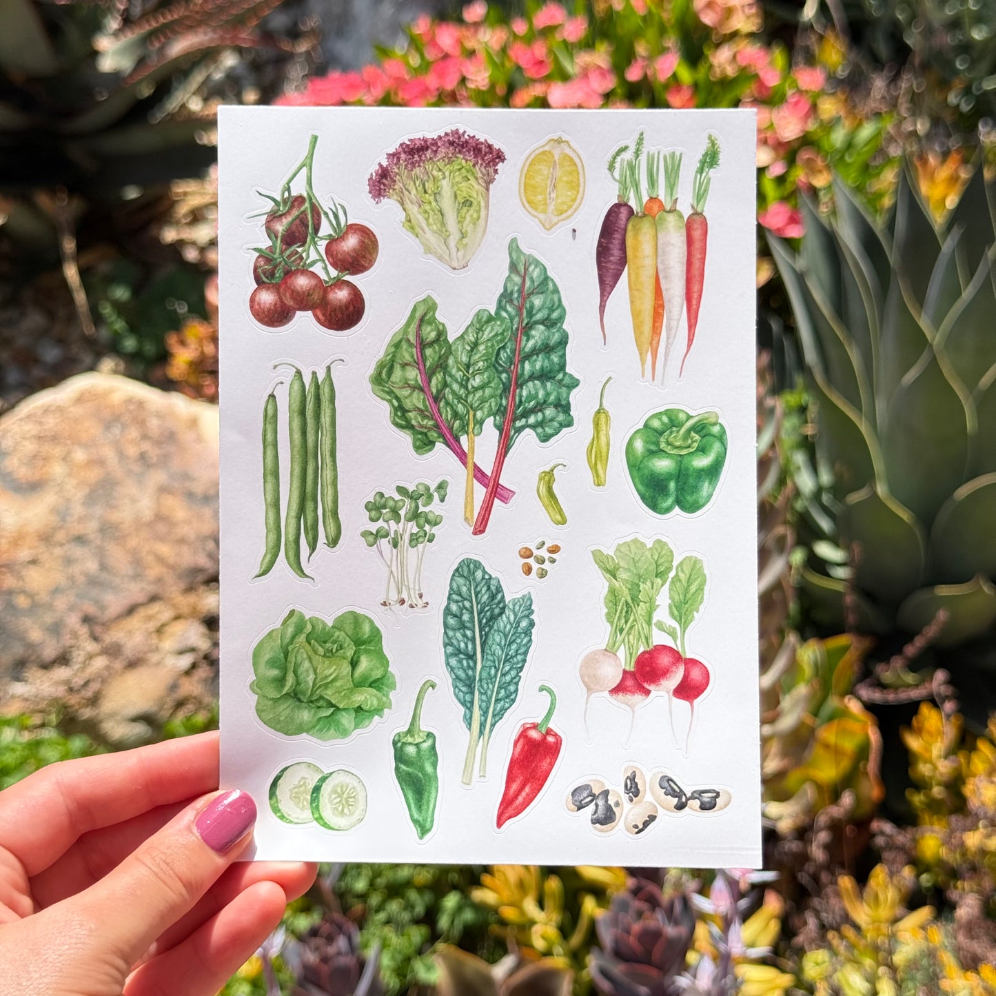 Sticker Sheets