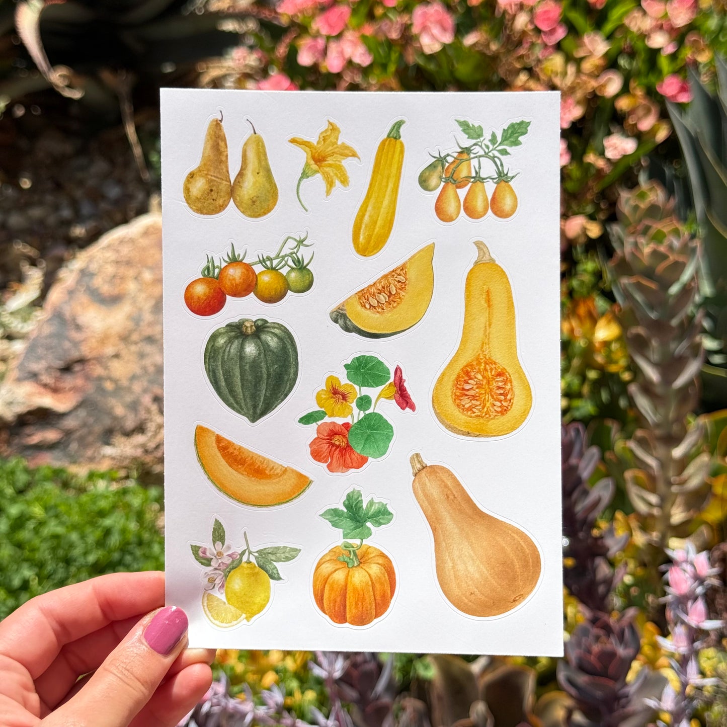 Sticker Sheets