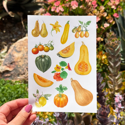 Sticker Sheets