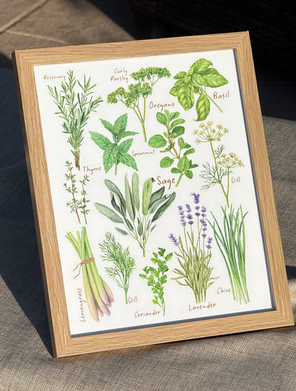 Herbs Collection Print