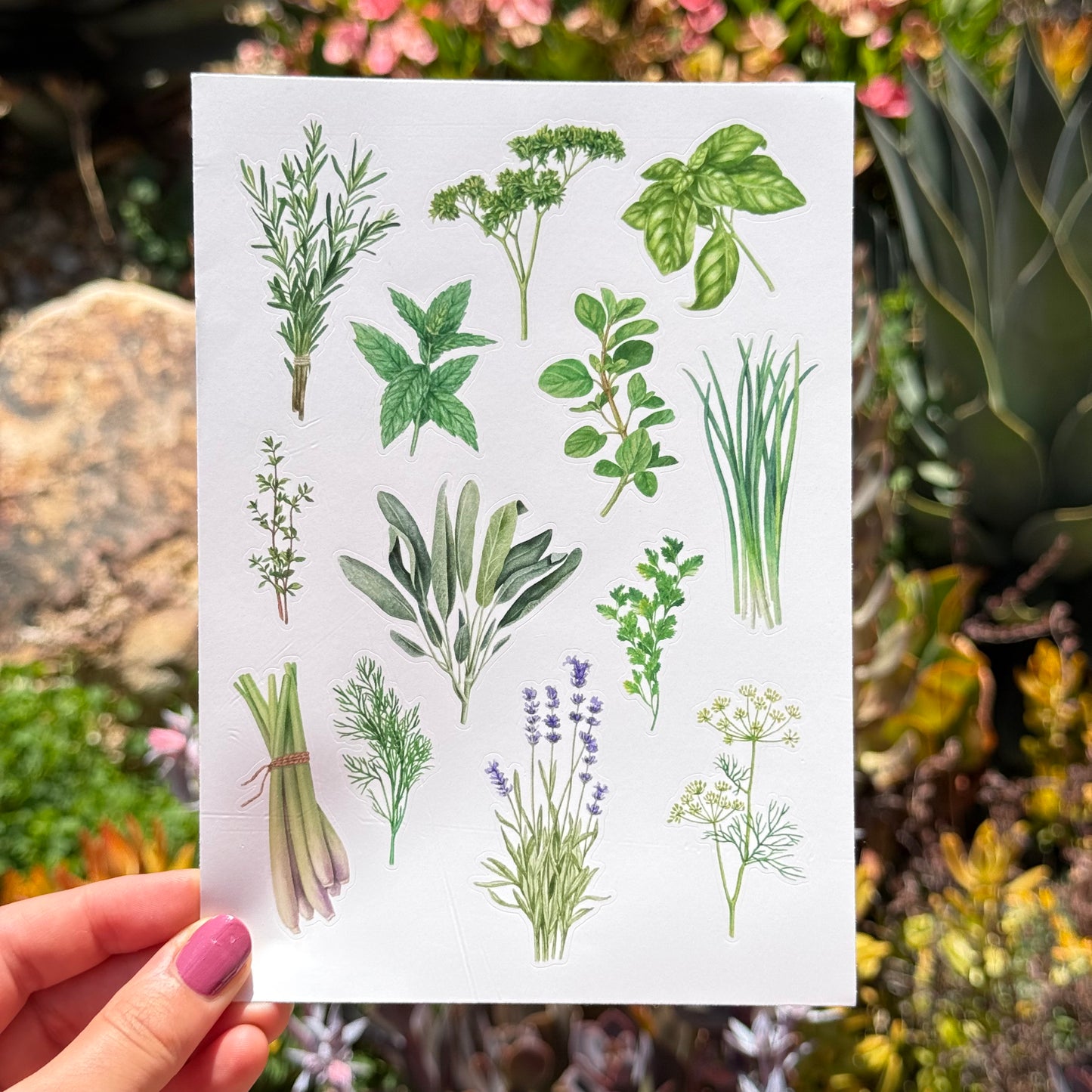 Sticker Sheets