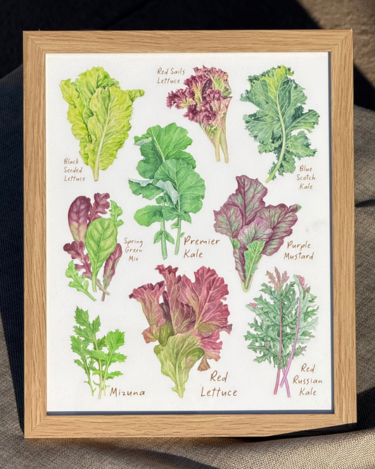 Leafy Greens Collection Print