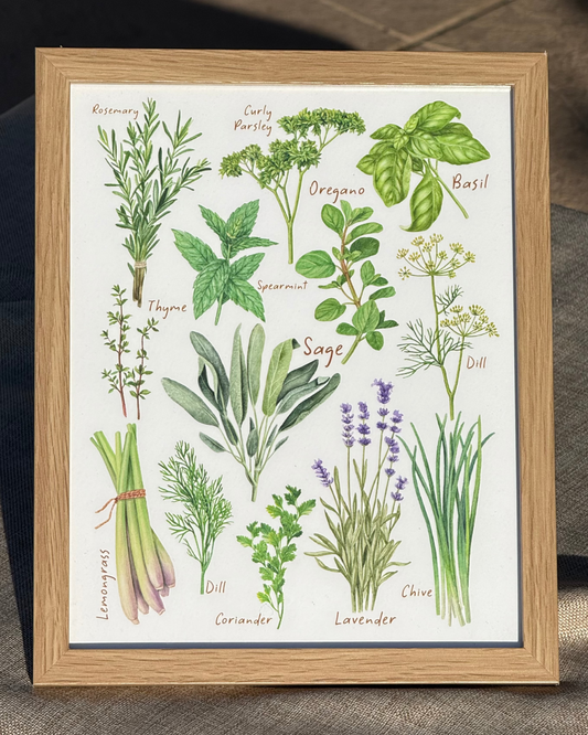 Herbs Collection Print